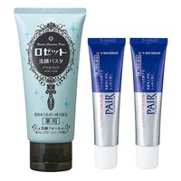 LION 狮王 祛痘膏 24g*2支+ROSETTE 诗留美屋 蓝泥洗面奶 120g