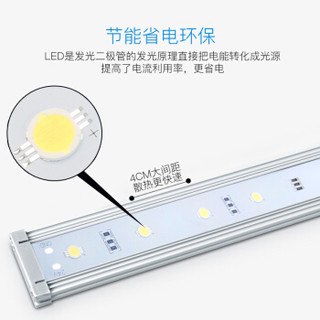 OF 龙鱼专用灯 LED灯 水中灯 金龙灯 长度173厘米 32W 照出龙鱼本色 发财鱼 促发色灯 鱼缸用 潜水灯 防水型