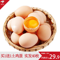 农家新鲜鸡蛋  20枚装 *2件