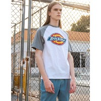 Dickies 帝客 TDK007438 中性插肩袖撞色拼接短袖