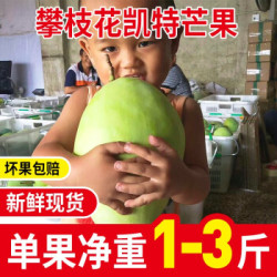 许愿果 四川攀枝特大青芒果 5斤 *2件+凑单品