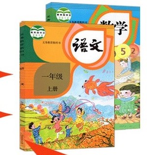 《2020年秋 53天天练 二年级上册 语文＋数学》