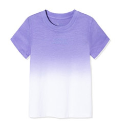 anta 安踏 渐变色短袖t恤衫