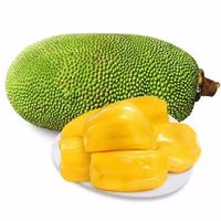 京东PLUS会员：一岛一果  海南三亚菠萝蜜  坏果包赔 25斤-30斤/个