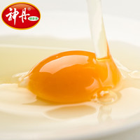 神丹 农家生态散养保洁鸡蛋 40枚散装