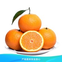 XIANGUOLAN 鲜菓篮  水果橙子   3斤