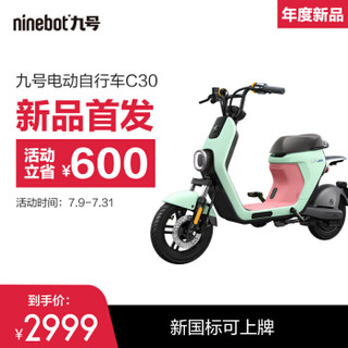 Ninebot 九号 电动自行车C30热岩灰红  新国标版智能锂电池踏板车电瓶车代步车续航25-30km