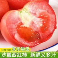 京东物流 沙瓤西红柿生吃红番茄农家自然熟蔬菜西红柿带箱5斤
