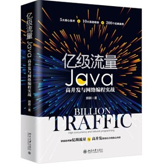 《亿级流量 Java高并发与网络编程实战》