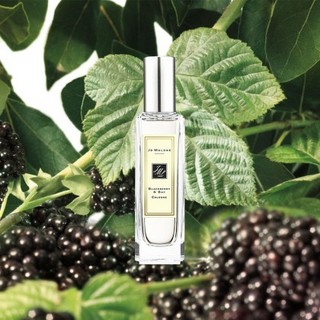 Jo Malone London 祖·玛珑 黑莓与月桂叶古龙水 30ml