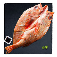 哈鲜 冷冻清蒸阿拉斯加红石斑鱼 1000g  半成品方便菜 自营海鲜水产