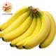 正宗云南香蕉新鲜水果糯米蕉带箱10斤装 净含量9斤
