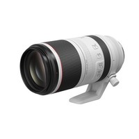 Canon 佳能 RF 100-500mm F4.5-7.1L IS USM 超远摄定焦镜头 佳能RF卡口 77mm