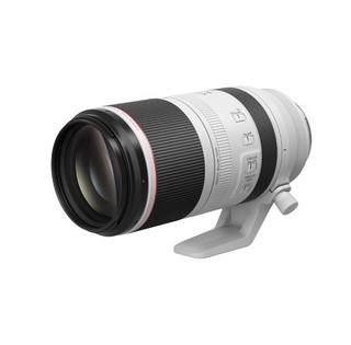 88VIP：Canon 佳能 RF 100-500mm F4.5-7.1L IS USM 超远摄定焦镜头 佳能RF卡口 77mm