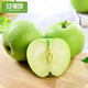 陕西青苹果3斤新鲜孕妇水果应当季酸甜青蛇果富士