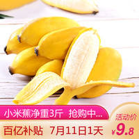 百亿补贴 广西小米蕉糯米蕉 新鲜香蕉 净重3斤