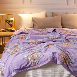 博洋家纺（BEYOND）拉舍尔毛毯春秋加厚单双人毯子双层冬季保暖结婚学生盖毯 贝丽娜200*230cm