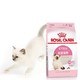 ROYAL CANIN 皇家 K36 K36 幼猫猫粮 0.4kg +凑单品