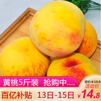 百亿补贴： 现摘安徽砀山黄桃 可自制罐头 精选5斤黄桃