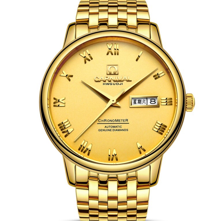 嘉年华(Carnival)手表男士机械表进口机芯大三针双日历防水商务时尚钢带男表