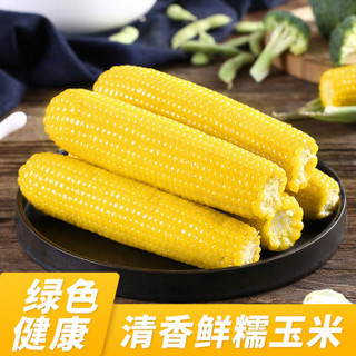 华田禾邦 玉米8根装 黄糯玉米棒 1.6~1.8KG 东北新鲜甜黏玉米粒