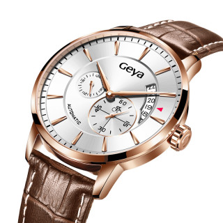 geya 格雅 机械运动系列 jd8197g 男士自动机械手表