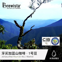 Brewista牙买加蓝山G1 水洗处理法 蓝山1号咖啡豆100g