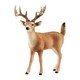 思乐儿童玩具男孩女孩仿真动物模型认知野生动物系列-白尾鹿SCHC14709