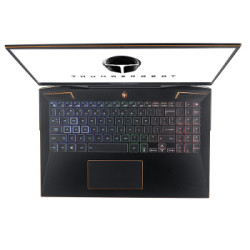 ThundeRobot 雷神 911Pro晖金二代 15.6英寸游戏本 (i7-10875H、16GB、1TB SSD、RTX2070 Super、240Hz)