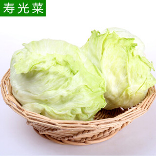 山东寿光蔬菜 家美舒达 球生菜 约800-900g 圆生菜 生菜球 寿光菜 产地直供 新鲜蔬菜
