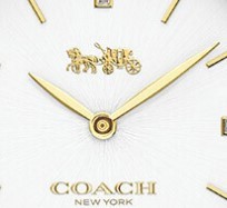 COACH 蔻驰 PARK系列 14503095 女士石英手表