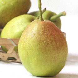 橙禾生鲜 新疆库尔勒香梨精选果 5斤小果 单果70-100g