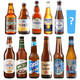 进口精酿啤酒组合 迷失海岸白熊罗斯福 11瓶初级精酿+啤酒杯
