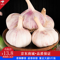 桃李村 农家自种紫皮大蒜头干蒜 新鲜蔬菜 5斤装大果