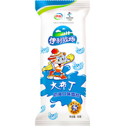 40支整箱伊利牧场冰淇淋大布丁雪糕60g冰激凌奶油