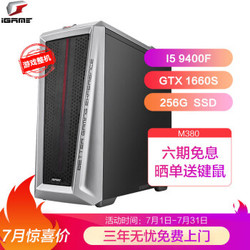 七彩虹（Colorful）iGame M380设计师游戏台式电脑主机（九代i5-9400F 8G 256GB GTX1660SUPER 3年免费上门）