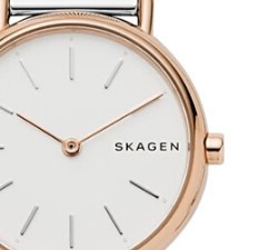 SKAGEN 诗格恩 SKW1106 女士石英手表