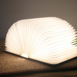 极度空间 书本灯创意LED折叠小夜灯生日礼物USB充电阅读灯送男女朋友大号