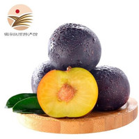 金真安 陕西特产黑布林 酸甜梅李子 1.5kg