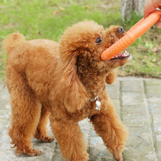 狗狗玩具户外互动磨牙耐咬拉力环玩具 橙色 大号185g