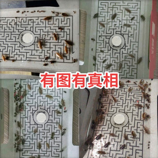 标兵 蟑螂屋蟑螂贴克星家用全窝端蟑螂药捕捉器强力厨房灭蟑清