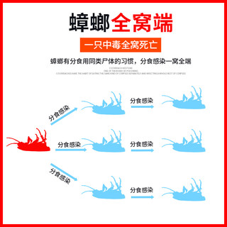 赵师傅蟑螂药家用低毒厨房卧室蟑螂屋神器大小通杀强力一窝端饵胶