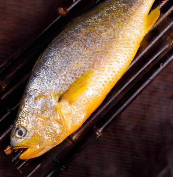 渔游记青岛活冻大黄花鱼1斤条4条装