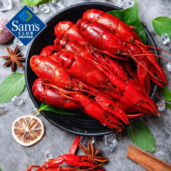 会员制仓储店 MEMBER'S MARK 鲜香小龙虾1.2kg大个头虾 超声波洗虾 零下198°锁鲜麻辣小龙虾大虾