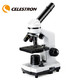 京东PLUS会员：CELESTRON 星特朗 高倍高清专业显微镜 +凑单品