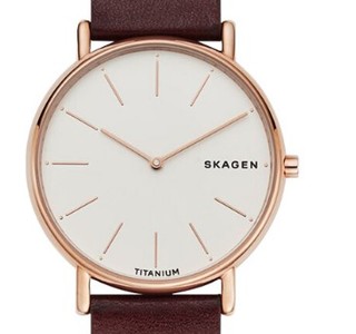 SKAGEN 诗格恩 SKW8600 男士石英手表