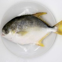 UNIVERSAL 環球水產 金鯧魚 700g