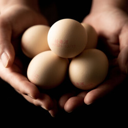 桂青源  无菌鲜鸡蛋   30枚