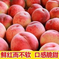 水蜜桃毛桃5斤新鲜现摘单果220g以上当季脆甜水果