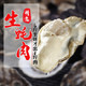 鲜佰客 新鲜活剥冷冻生蚝肉 500g（1袋约40-50个） 袋装 牡蛎肉海蛎子 *5件